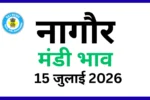 नागौर मंडी भाव 15 जुलाई 2026)