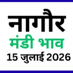 नागौर मंडी भाव 15 जुलाई 2026)