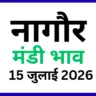 नागौर मंडी भाव 15 जुलाई 2026)