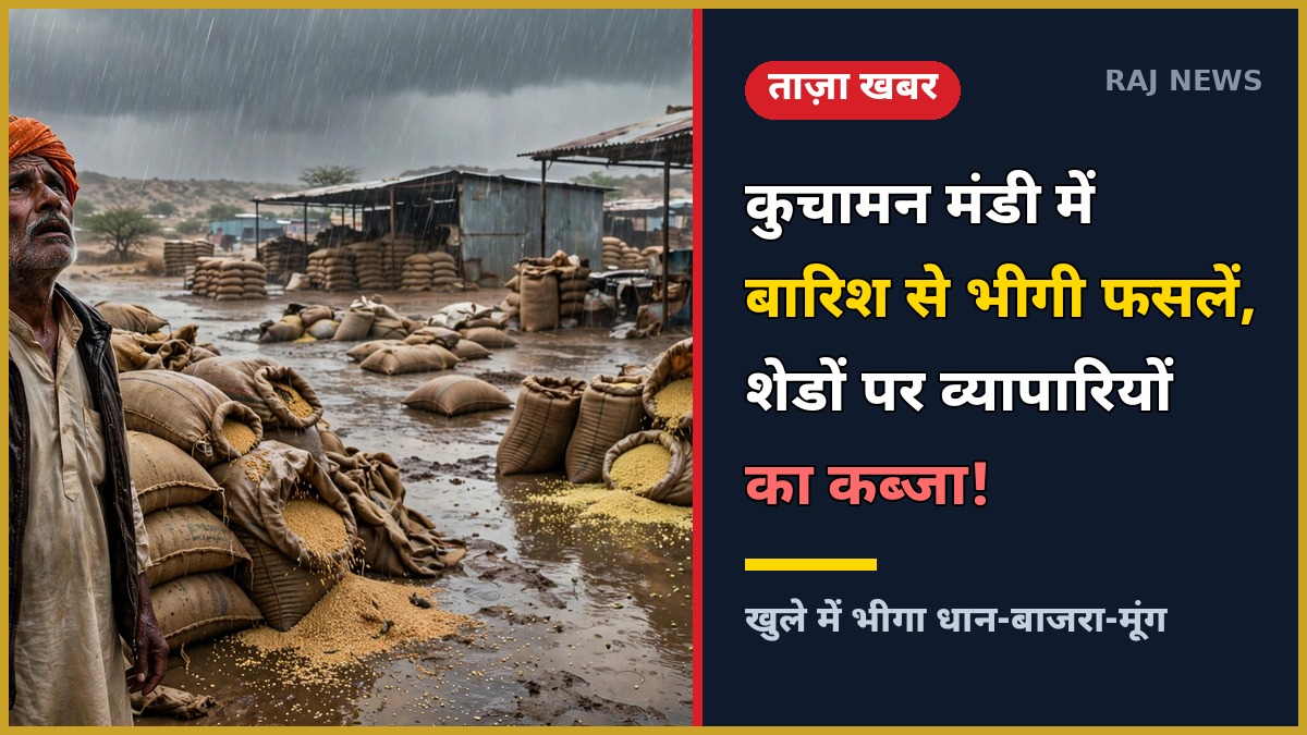 कुचामन कृषि उपज मंडी में बारिश में भीगी किसानों की फसल