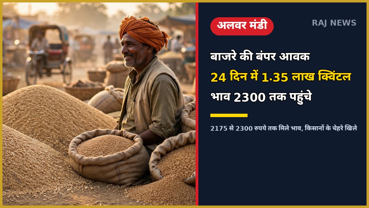 अलवर मंडी में बाजरे की बंपर आवक — 24 दिन में 1.35 लाख क्विंटल, भाव 2300 तक