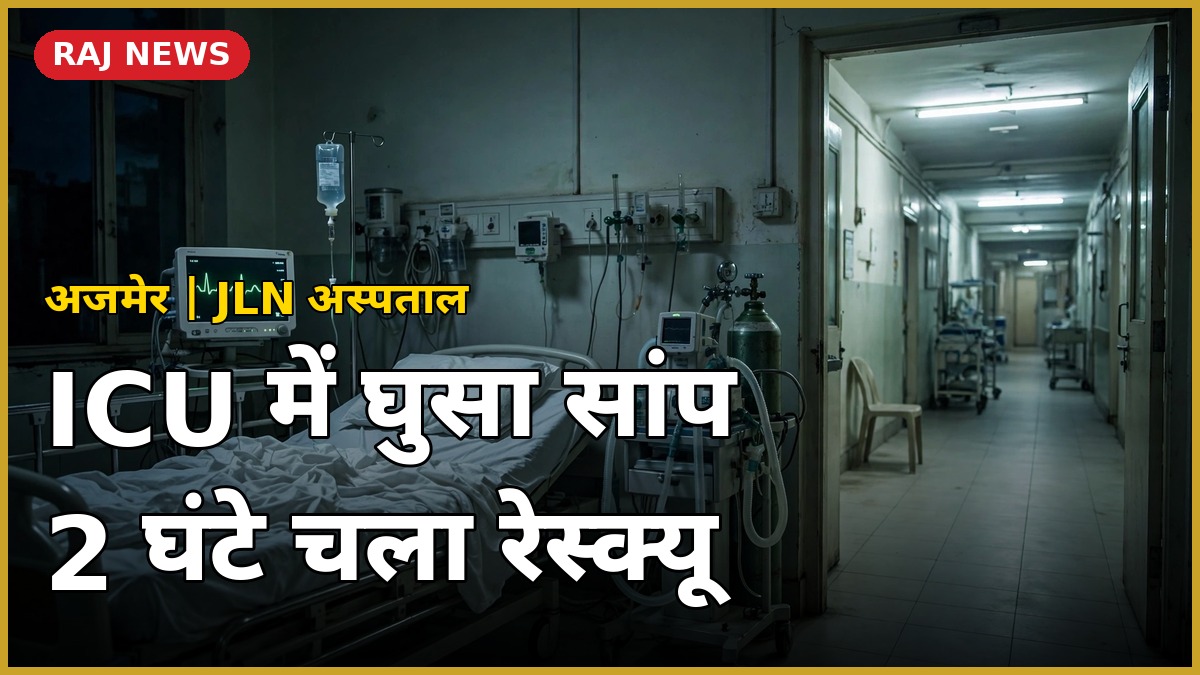 अजमेर अस्पताल आईसीयू सांप