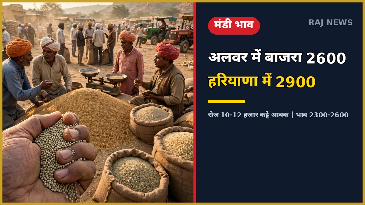अलवर मंडी में बाजरे के भाव — अलवर बाजरा मंडी भाव ताजा अपडेट