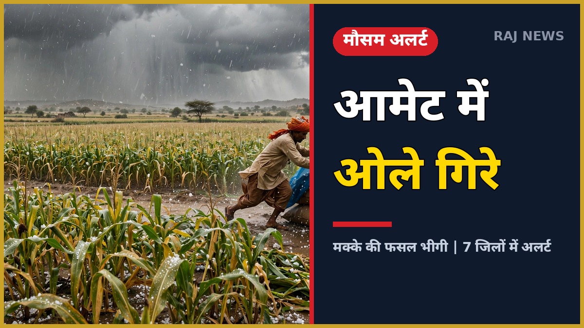 आमेट ओलावृष्टि में खेत पर ओले
