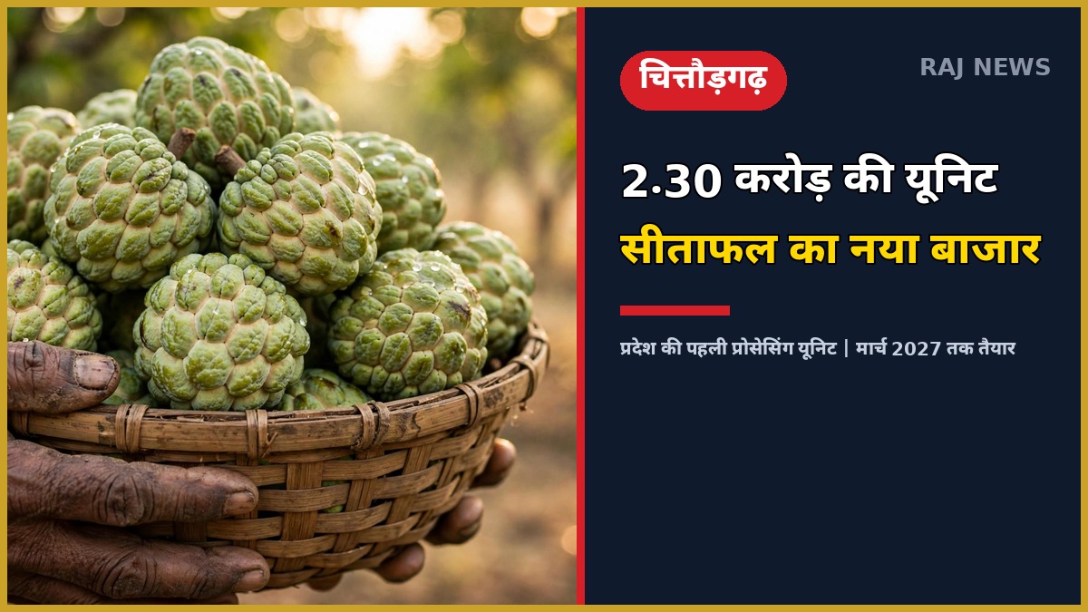 चित्तौड़गढ़ सीताफल प्रोसेसिंग यूनिट — किसान के हाथों में सीताफल की टोकरी