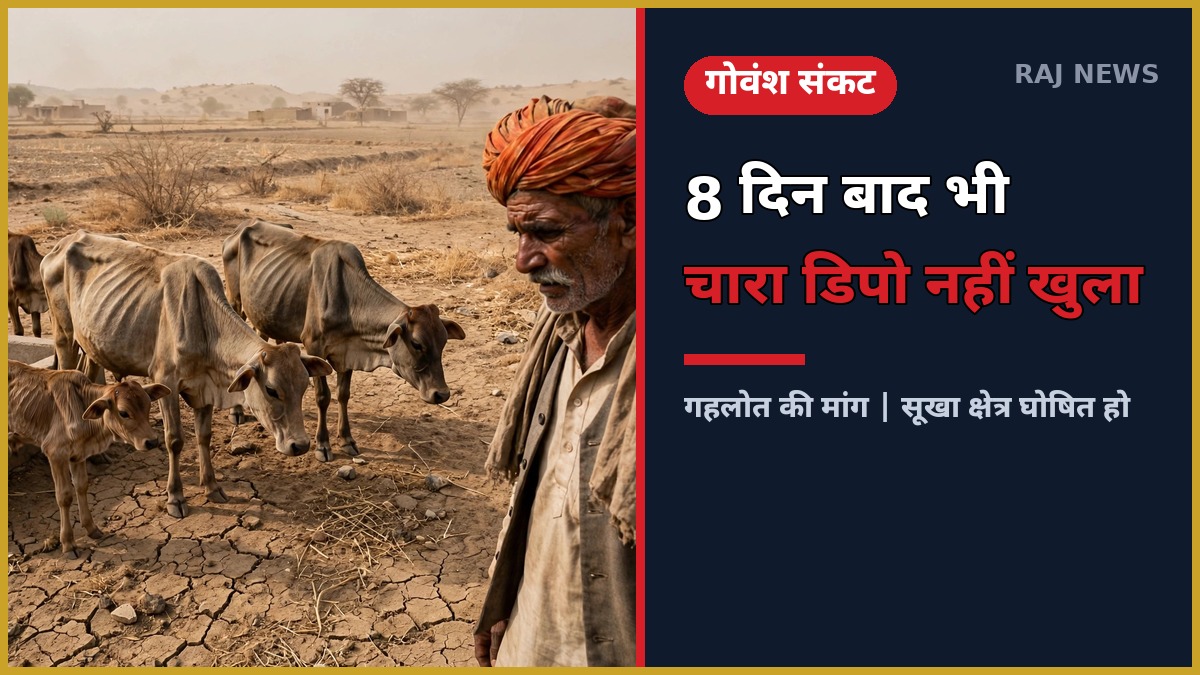 पश्चिमी राजस्थान में सूखे से जूझता गोवंश — राजस्थान गोवंश संकट पर गहलोत की सरकार से मांग