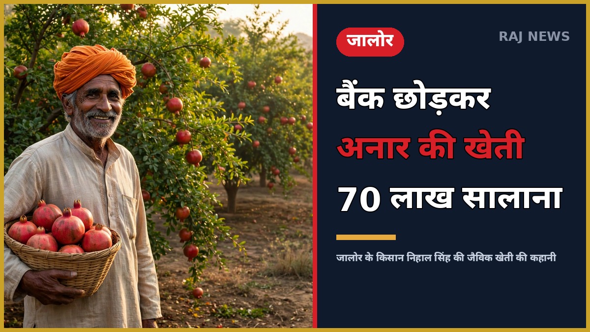 जालोर में जैविक अनार की खेती करते किसान निहाल सिंह — अनार के बाग में खड़े