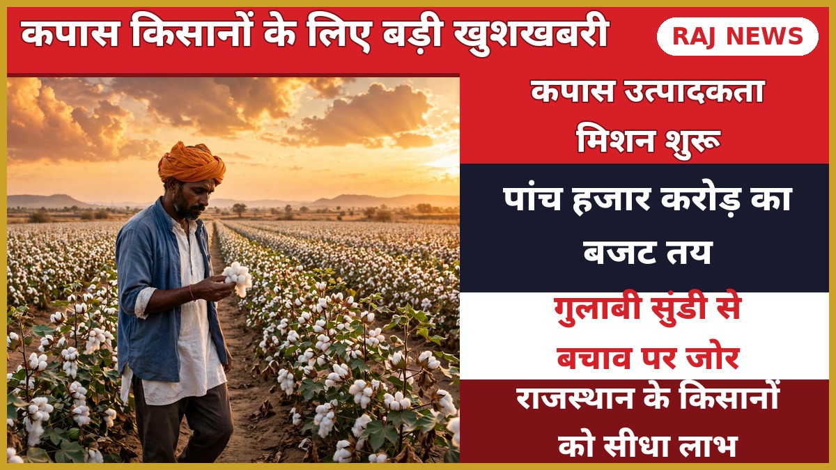 कपास उत्पादकता मिशन: कपास के खेत में किसान.