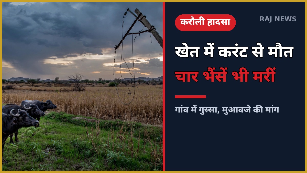 करौली करंट हादसा: खेत में टूटी बिजली लाइन और भैंसें