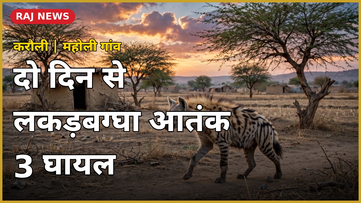 करौली लकड़बग्घा हमला महोली गांव थंबनेल