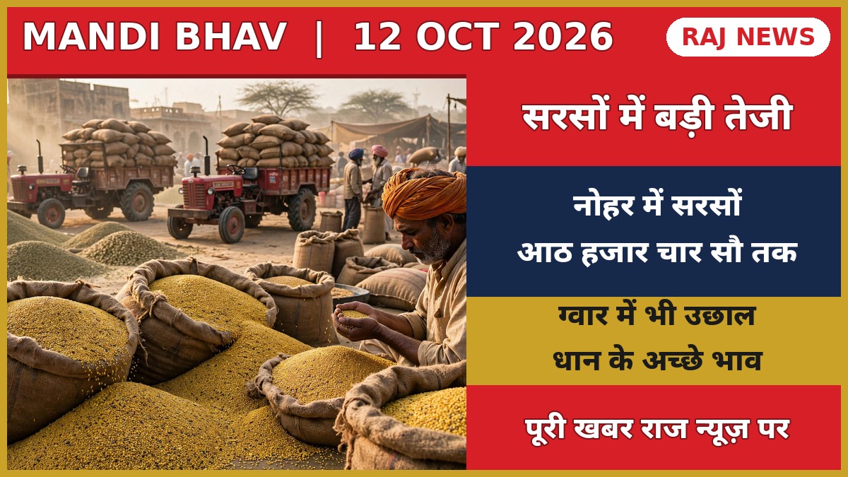 राजस्थान मंडी भाव 12 अक्टूबर: सरसों और ग्वार के ताजा रेट