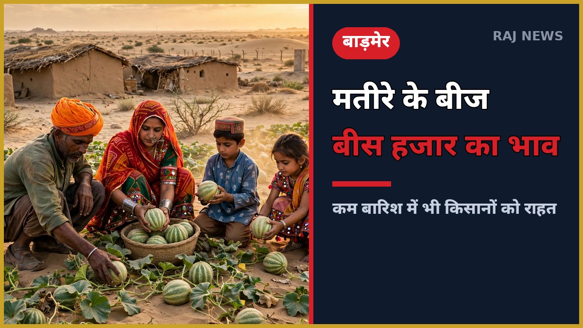 बाड़मेर के रेतीले खेत में मतीरे इकट्ठा करता किसान परिवार