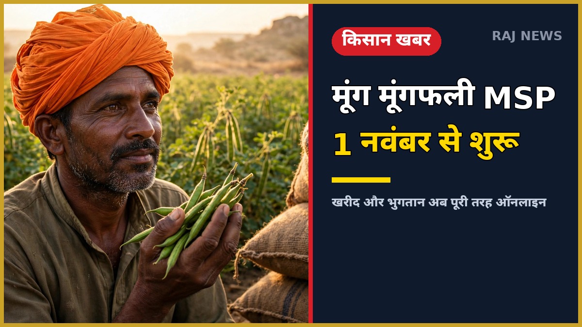 सीकर में मूंग-मूंगफली की MSP खरीद 1 नवंबर से शुरू, किसान खेत में मूंग की फसल के साथ