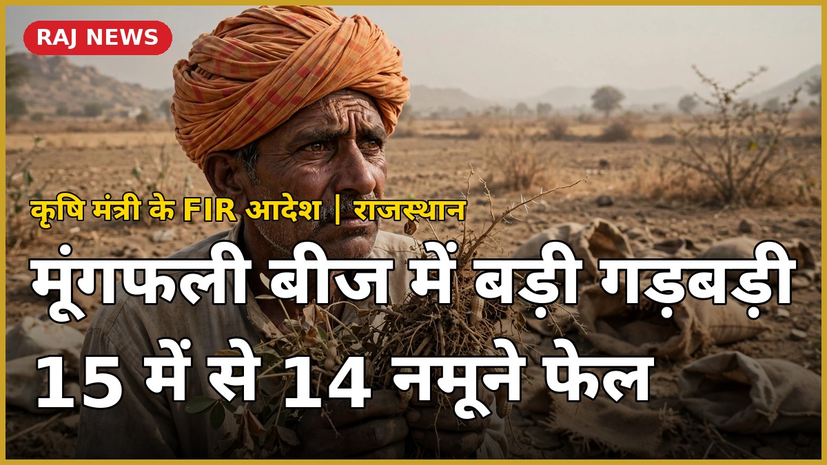 राजस्थान मूंगफली बीज घोटाला — चिंतित किसान कमजोर मूंगफली पौधे दिखाते हुए
