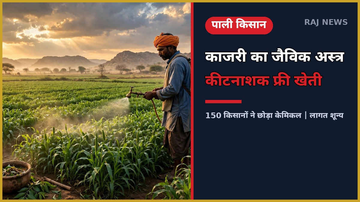 पाली में काजरी के जैविक अस्त्र से फसल पर छिड़काव करता किसान, कीटनाशक मुक्त खेती