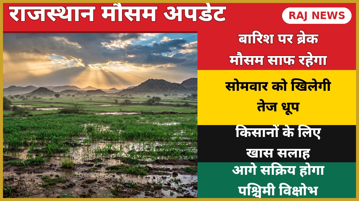 राजस्थान मौसम 19 अक्टूबर: बारिश के बाद साफ आसमान के नीचे राजस्थान के हरे-भरे खेत