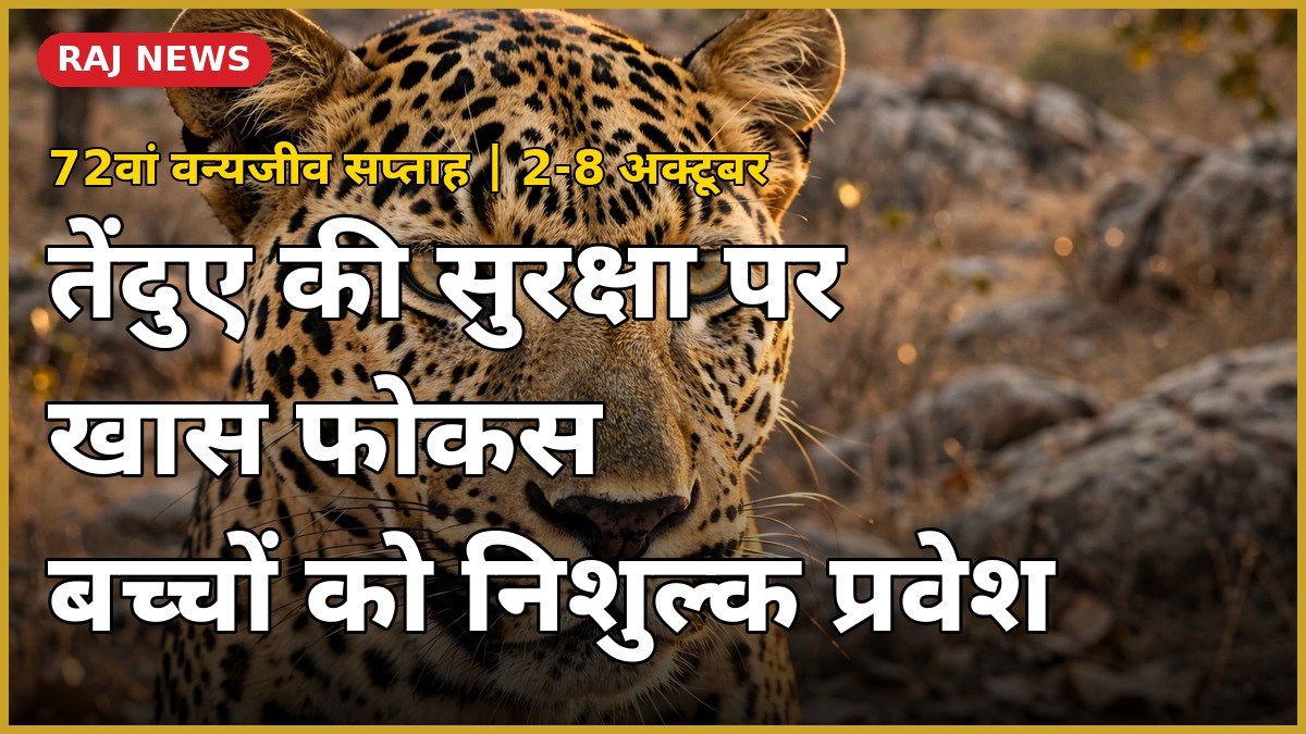 राजस्थान वन्यजीव सप्ताह 2026 — जंगल में तेंदुए का क्लोज-अप, इस बार तेंदुआ संरक्षण पर खास फोकस