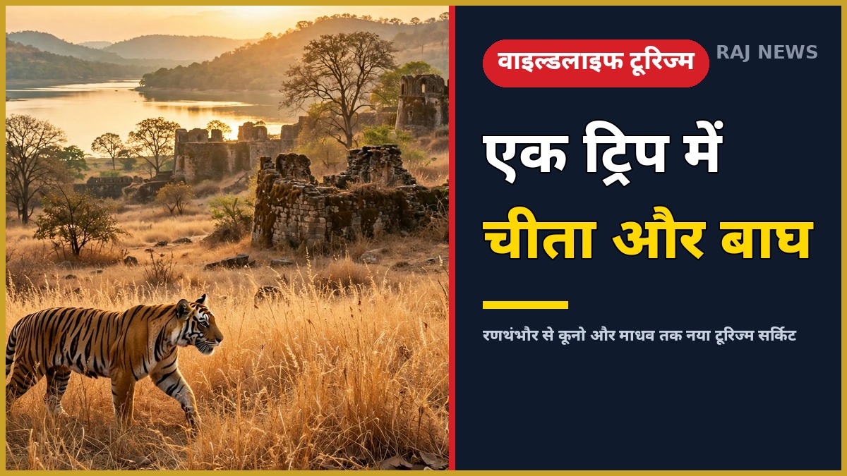 रणथंभौर टूरिज्म सर्किट — एक ट्रिप में चीता और बाघ सफारी