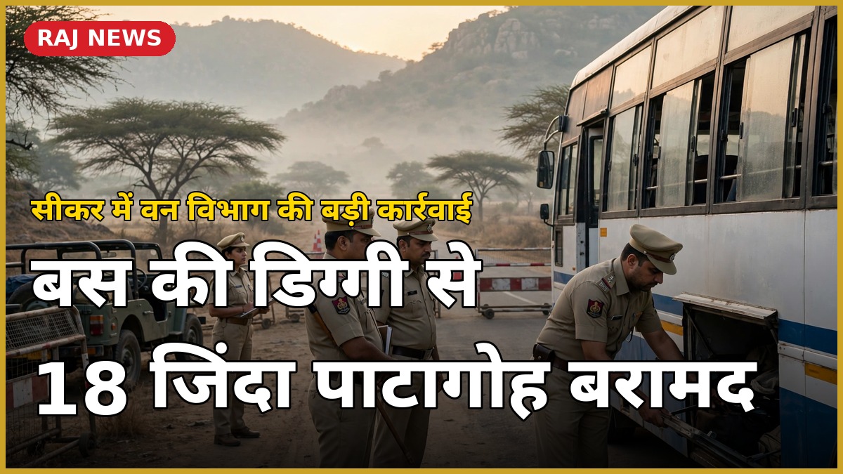 सीकर पाटागोह तस्करी मामले में नाकाबंदी के दौरान वन विभाग की टीम बस की तलाशी लेती हुई