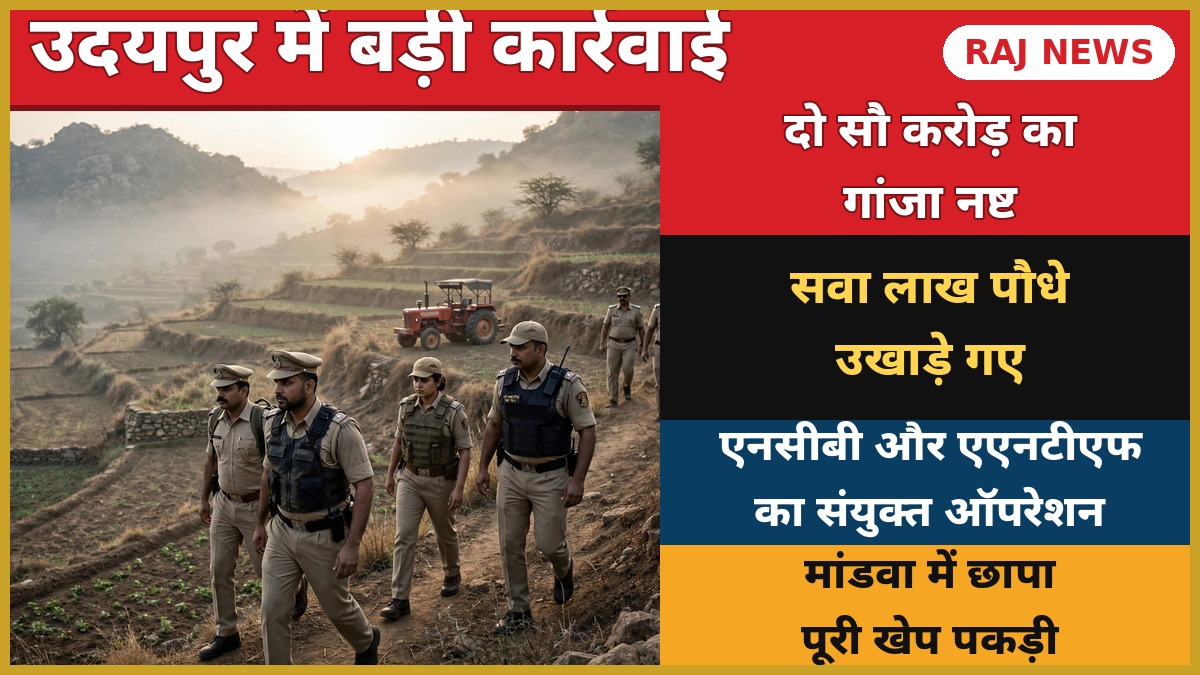 उदयपुर मांडवा में गांजे की अवैध खेती पर एनसीबी और एएनटीएफ की संयुक्त कार्रवाई