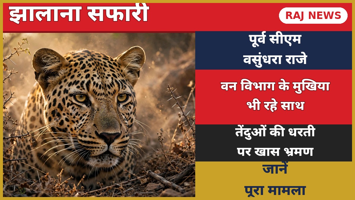 झालाना लेपर्ड सफारी में तेंदुए का क्लोज-अप — पूर्व सीएम वसुंधरा राजे ने किया जंगल भ्रमण